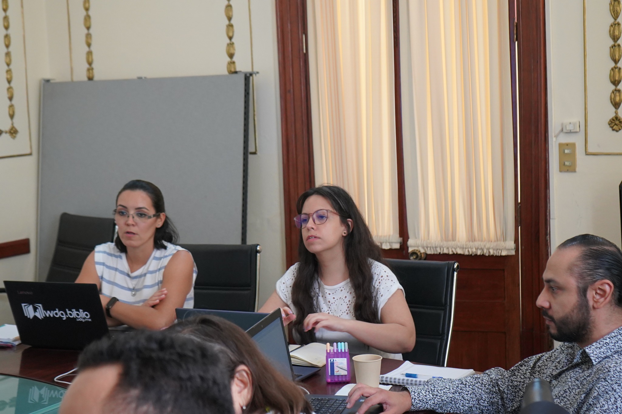  Capacitación como revisores en el Sistema de Captura de Tesis del Repositorio Institucional