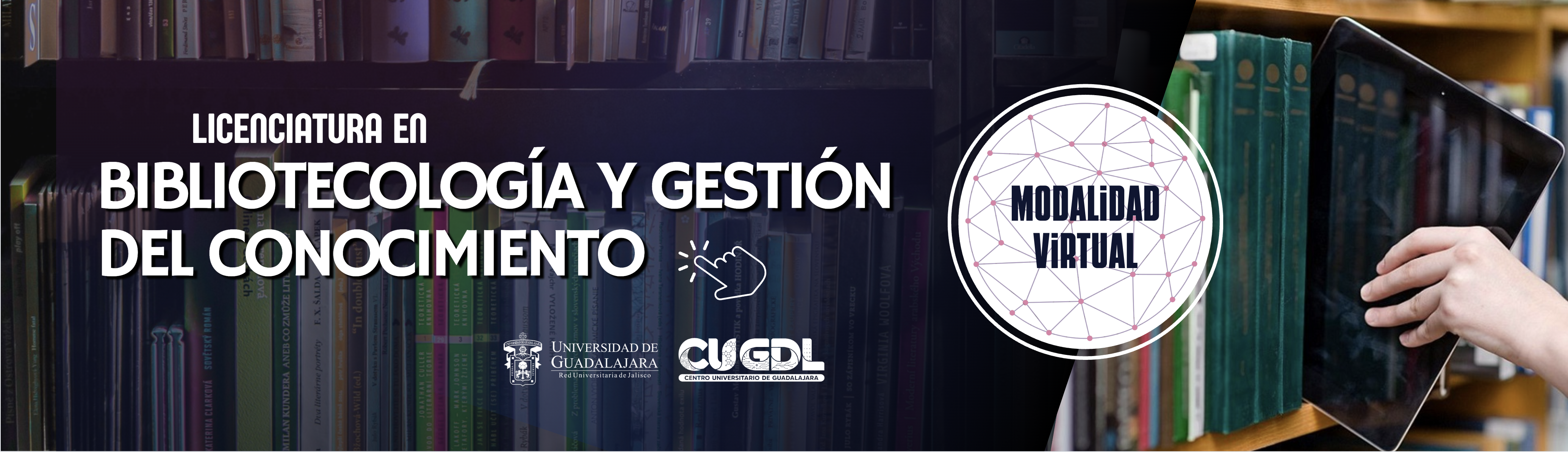Licenciatura en Bibliotecología y Gestión del Conocimiento