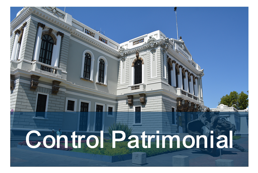 Control Patrimonial