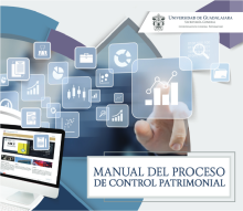 Manual del Proceso de Control Patrimonial