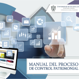 Manual del Proceso de Control Patrimonial